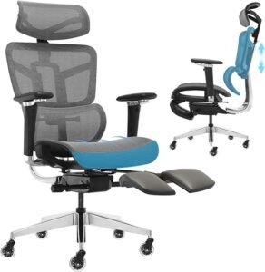 SAMOFU Ergonomic Office Chair